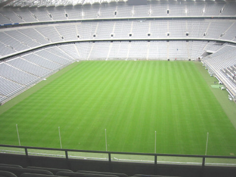 Das neue Gr&uuml;n der Arena f&uuml;r die WM 2,8 cm Schnittl&auml;nge